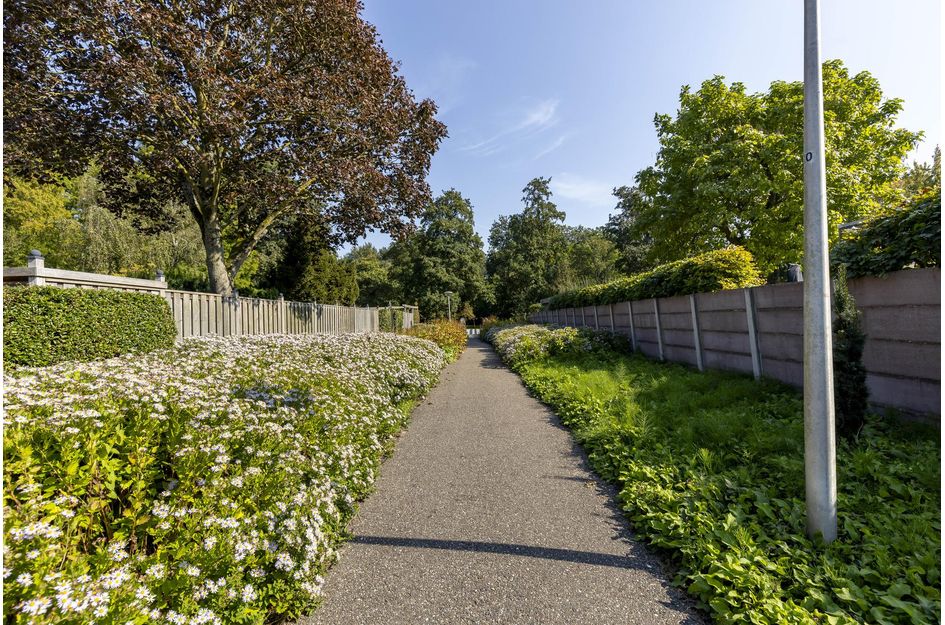 Weresteijn 13