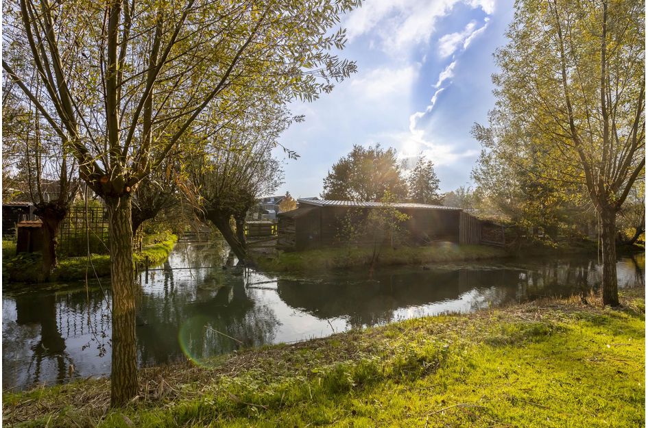 Groninger Kroon 53