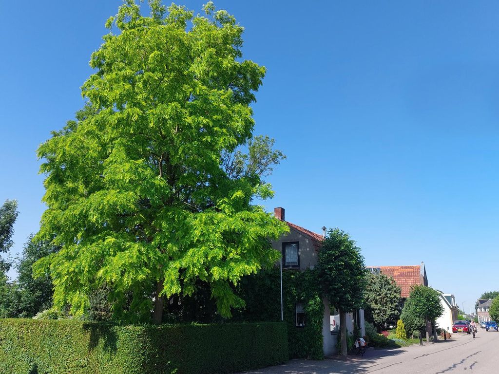 Buitendams 383, HARDINXVELD-GIESSENDAM