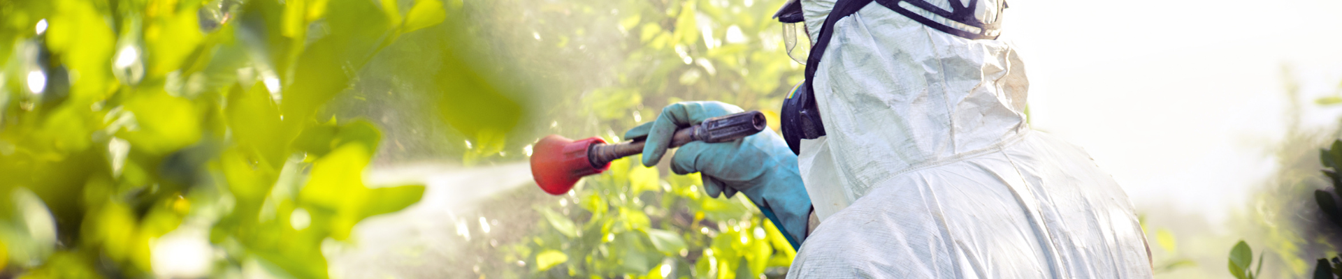 Fumigation & Pest control