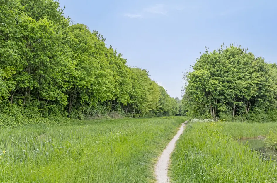 Oud Rhoonsedijk 17
