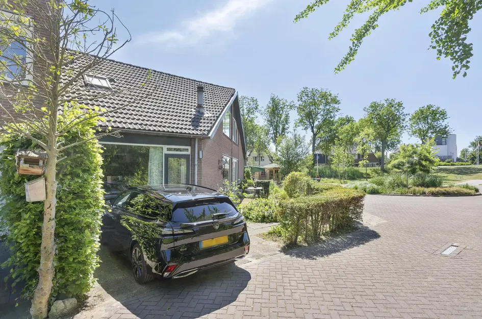 De Esdoorn 41