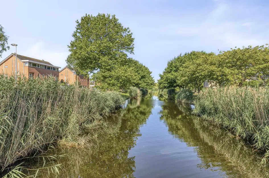 Noordersingel 37