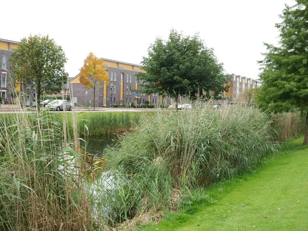 Noordersingel 37, BARENDRECHT