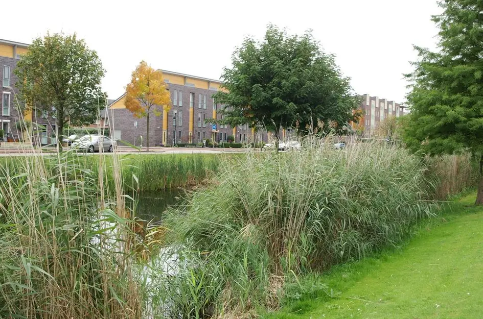 Noordersingel 37