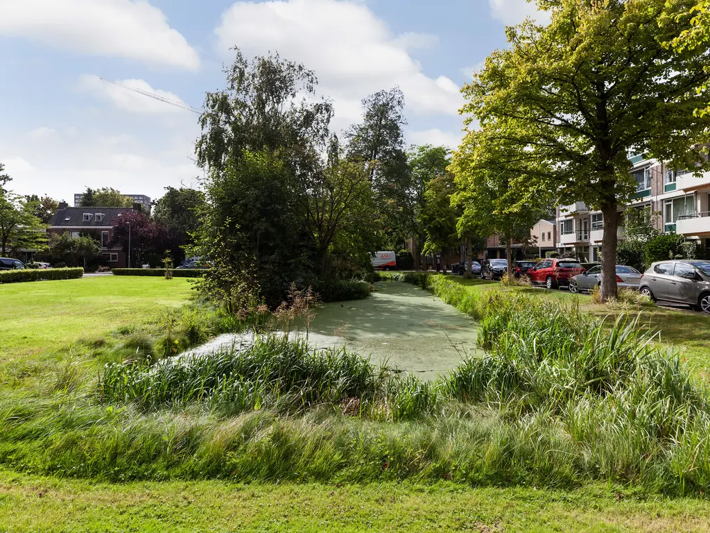 De Lairesselaan 183, Rotterdam