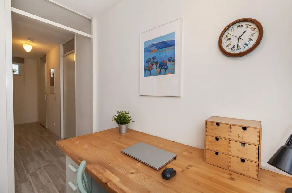 Mattenbiesstraat 100