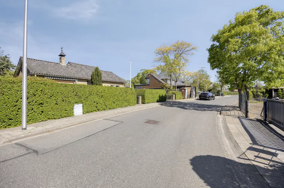 Molendijk 37