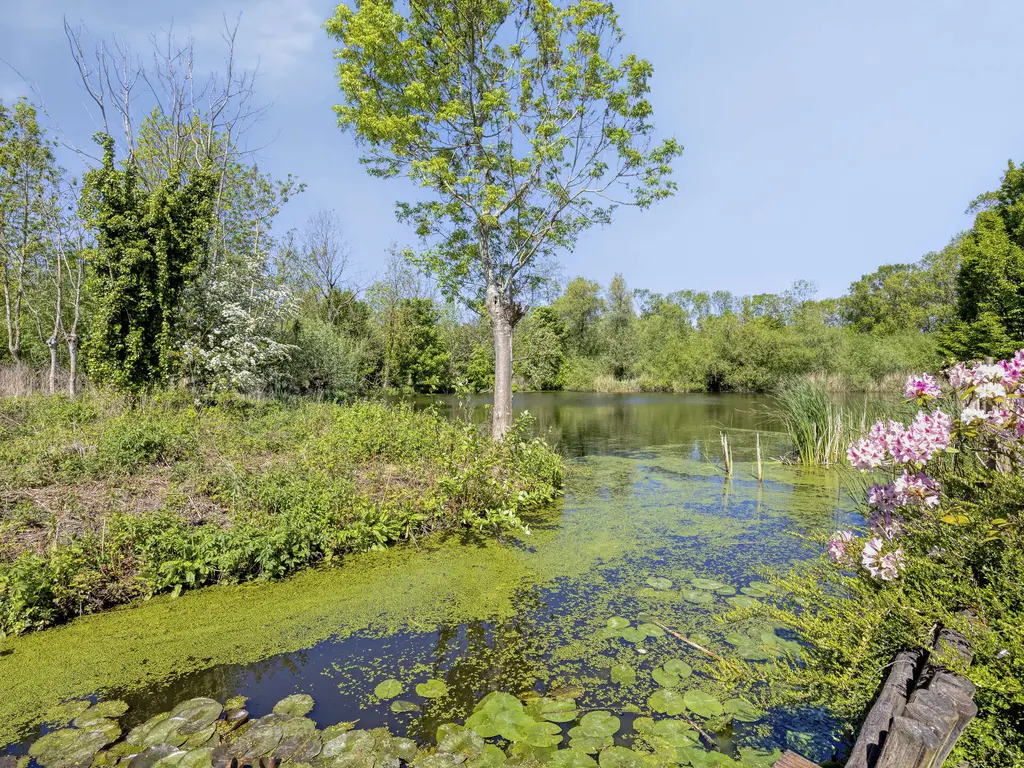 Molendijk 37, RHOON