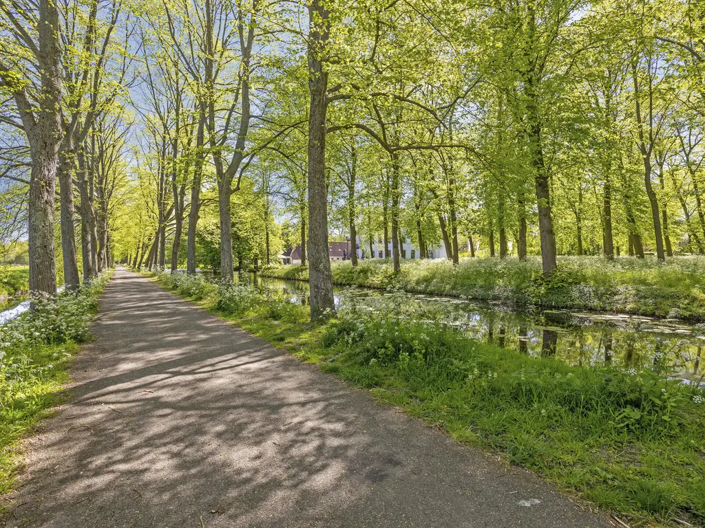 Molendijk 37, RHOON