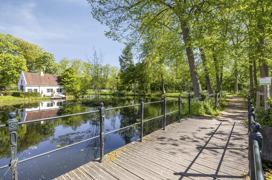 Molendijk 37