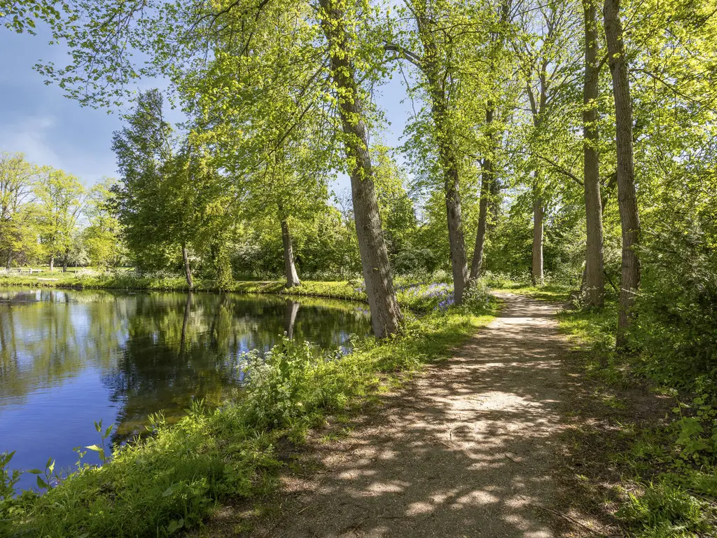 Molendijk 37, RHOON