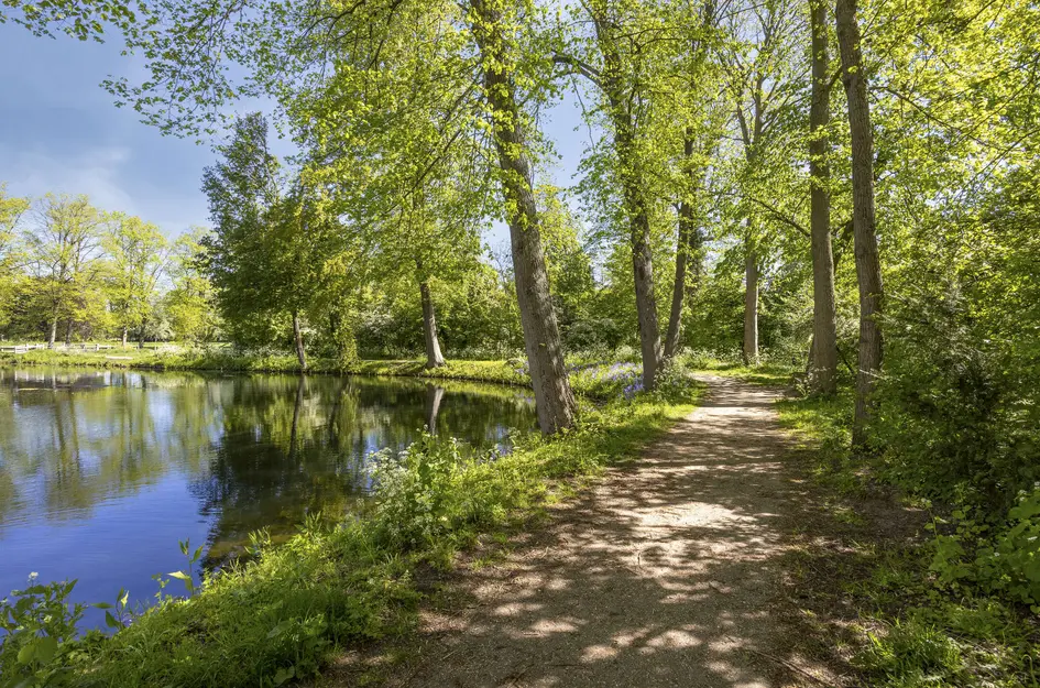 Molendijk 37