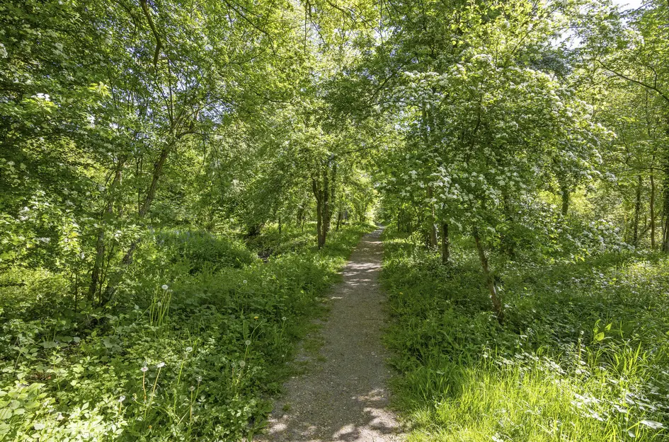 Molendijk 37