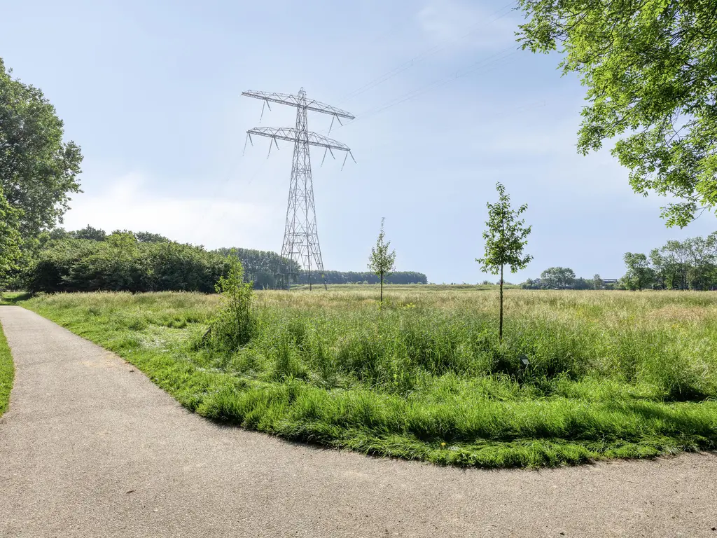 Karperveen 240, SPIJKENISSE
