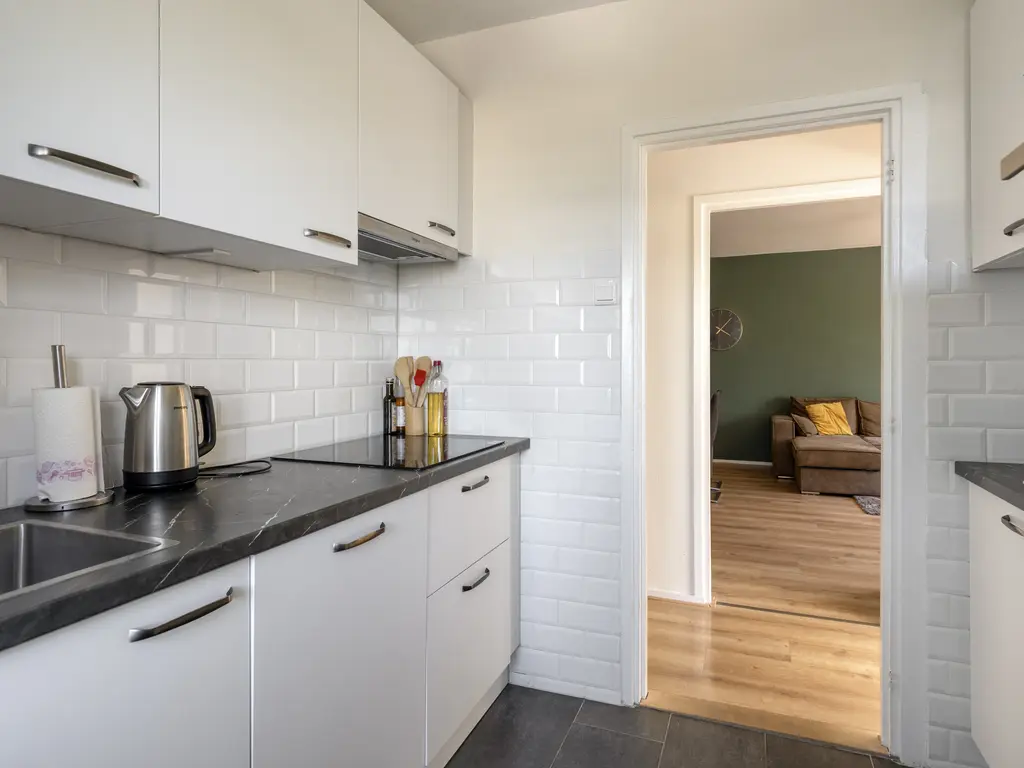 Louis Raemaekersstraat 23, SCHIEDAM