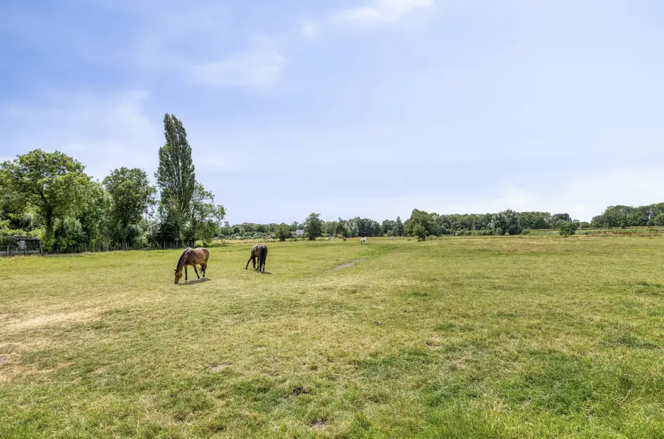 De Heuvel 15