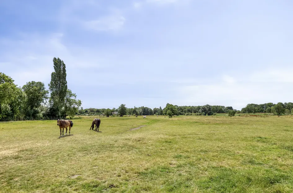 De Heuvel 15