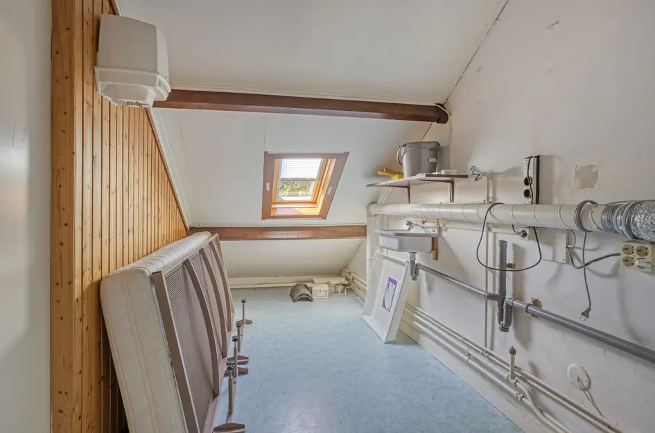 Kievit 60
