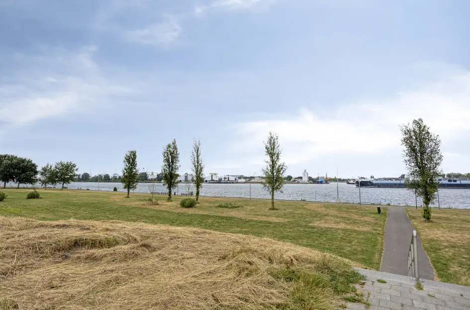Uiterdijk 225