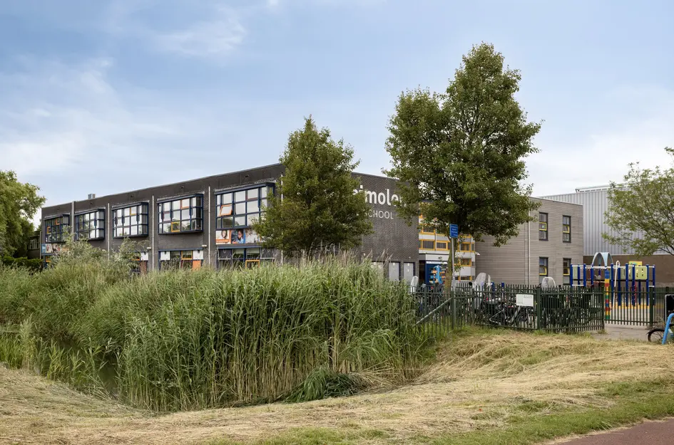 Brucknerstraat 31