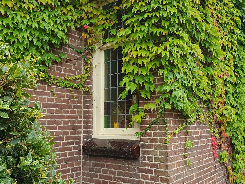 Dorpsdijk 178, RHOON
