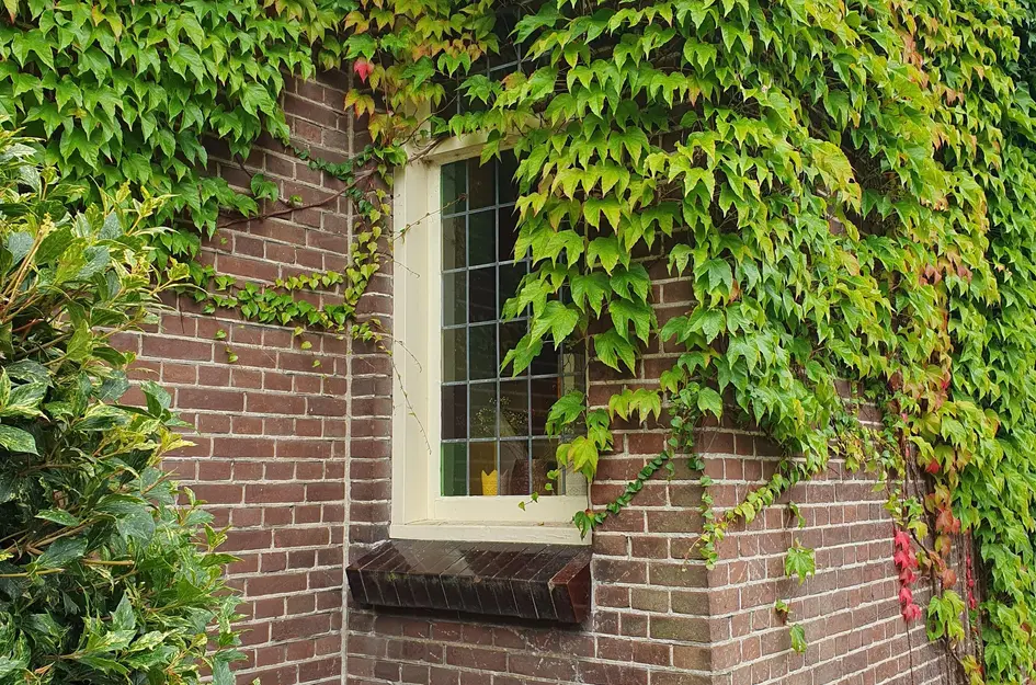 Dorpsdijk 178