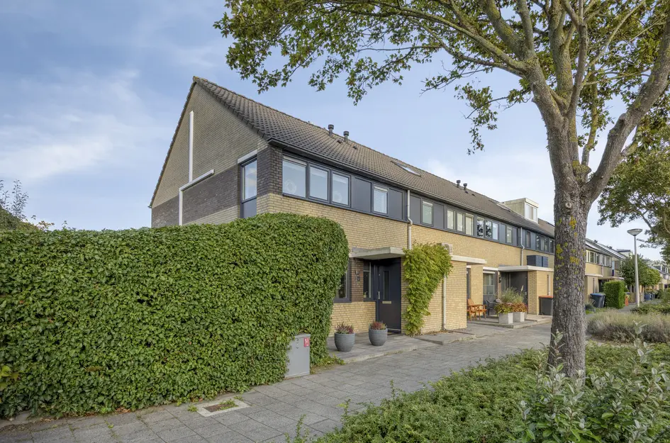 Molenaar 1