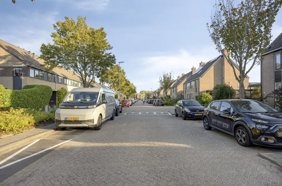 Molenaar 1