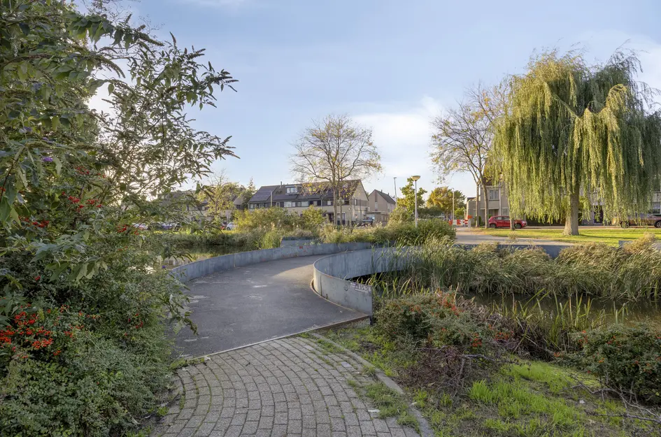 Molenaar 1