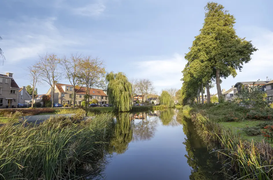 Molenaar 1
