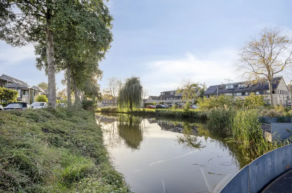 Molenaar 1