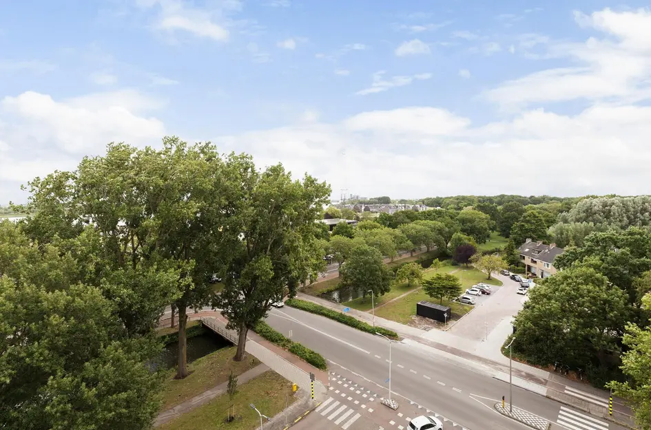 de la Reijstraat 538
