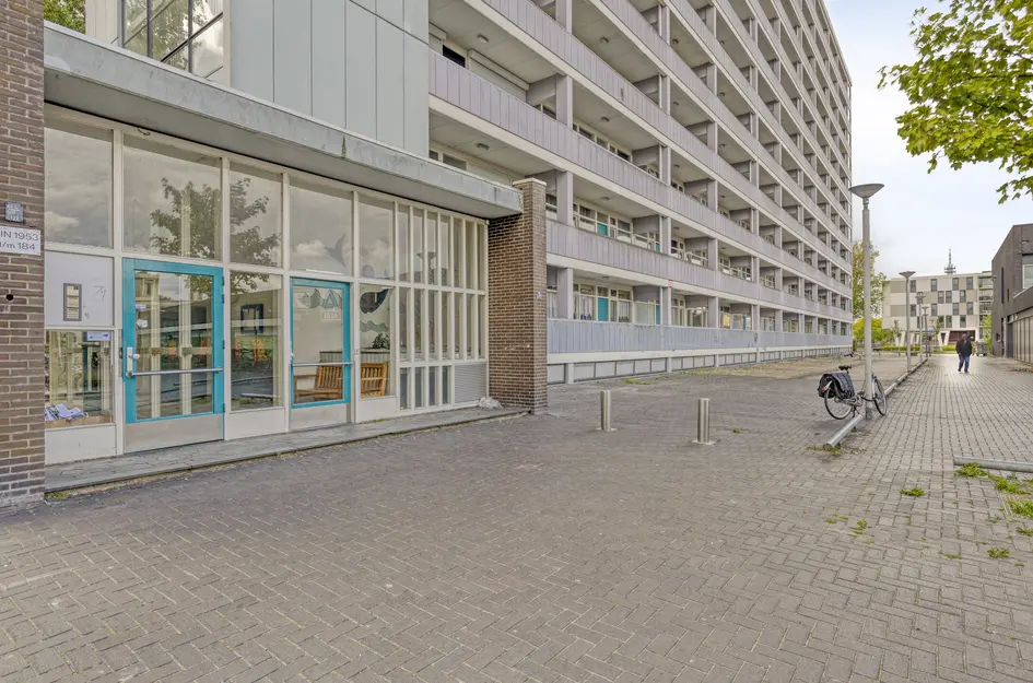 Plein 1953 164