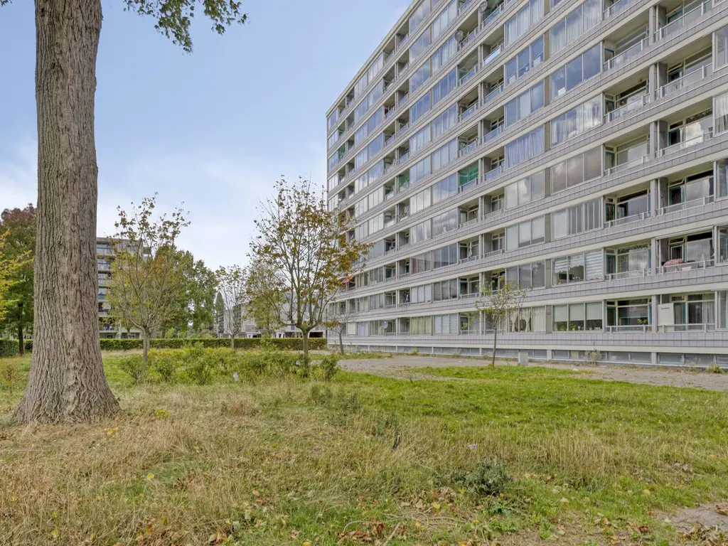 Plein 1953 164, ROTTERDAM