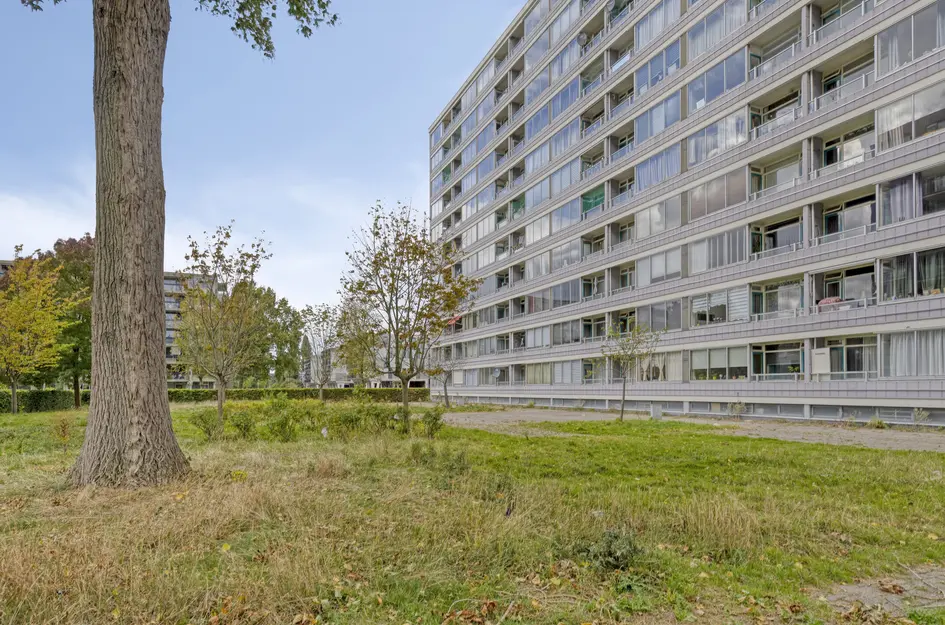 Plein 1953 164