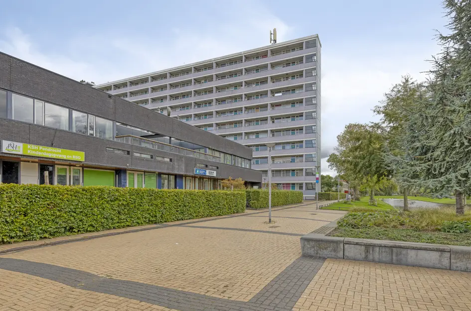Plein 1953 164
