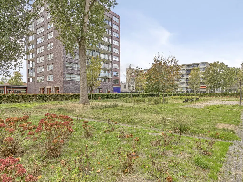 Plein 1953 164, ROTTERDAM