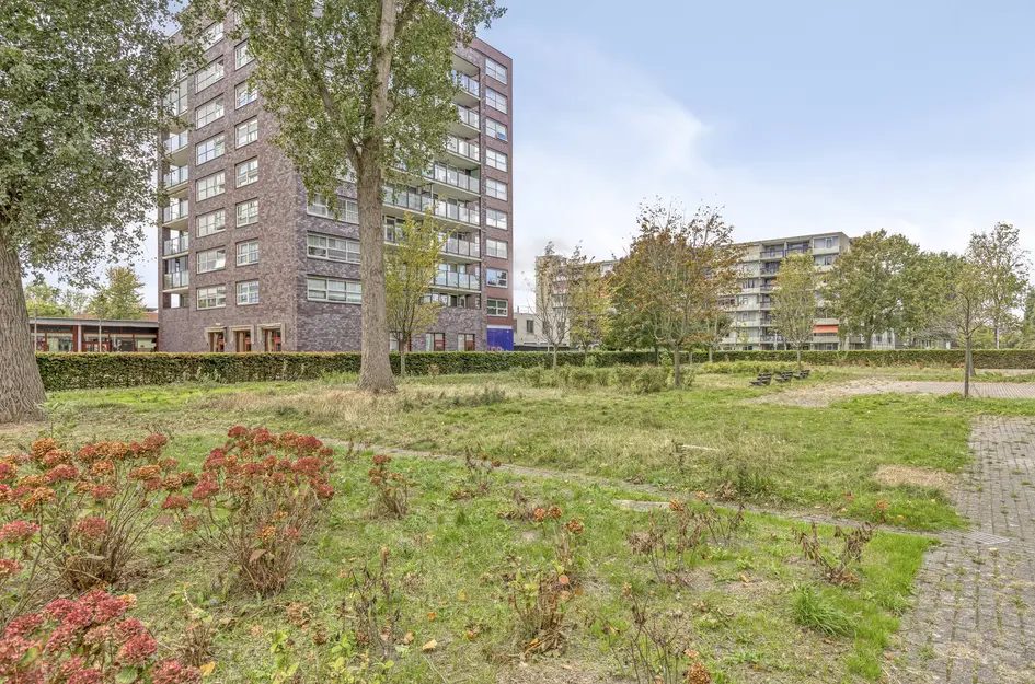 Plein 1953 164