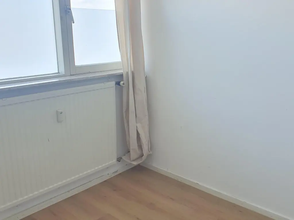 Plein 1953 164, ROTTERDAM