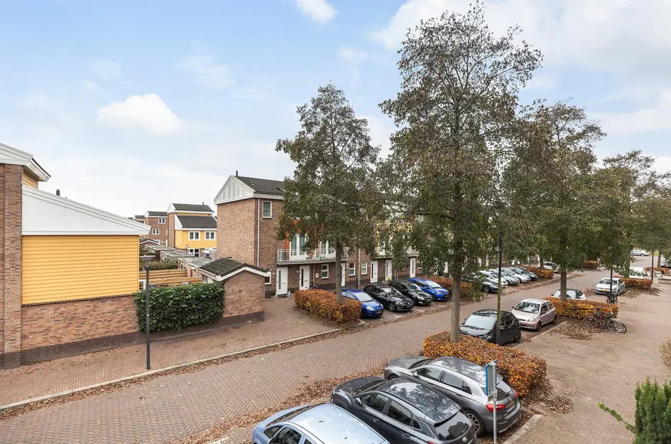 Mattenbiesstraat 100