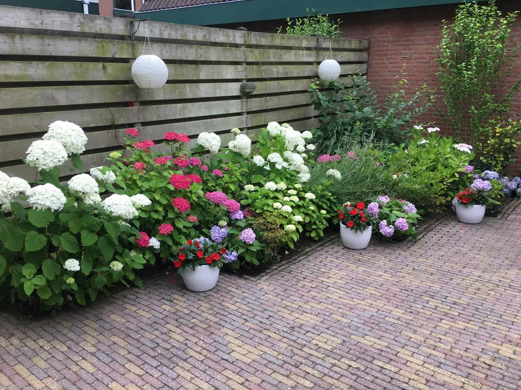 Tureluur 36, HOOGVLIET ROTTERDAM