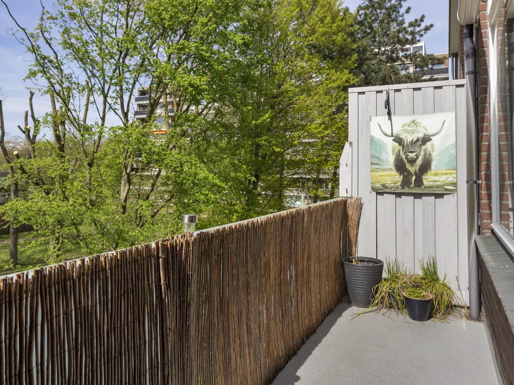 Kardoenhof 53, HOOGVLIET ROTTERDAM