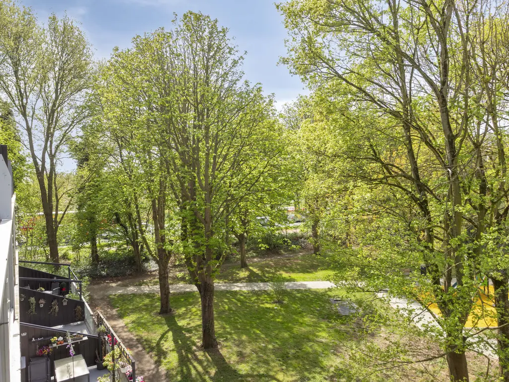 Kardoenhof 53, HOOGVLIET ROTTERDAM