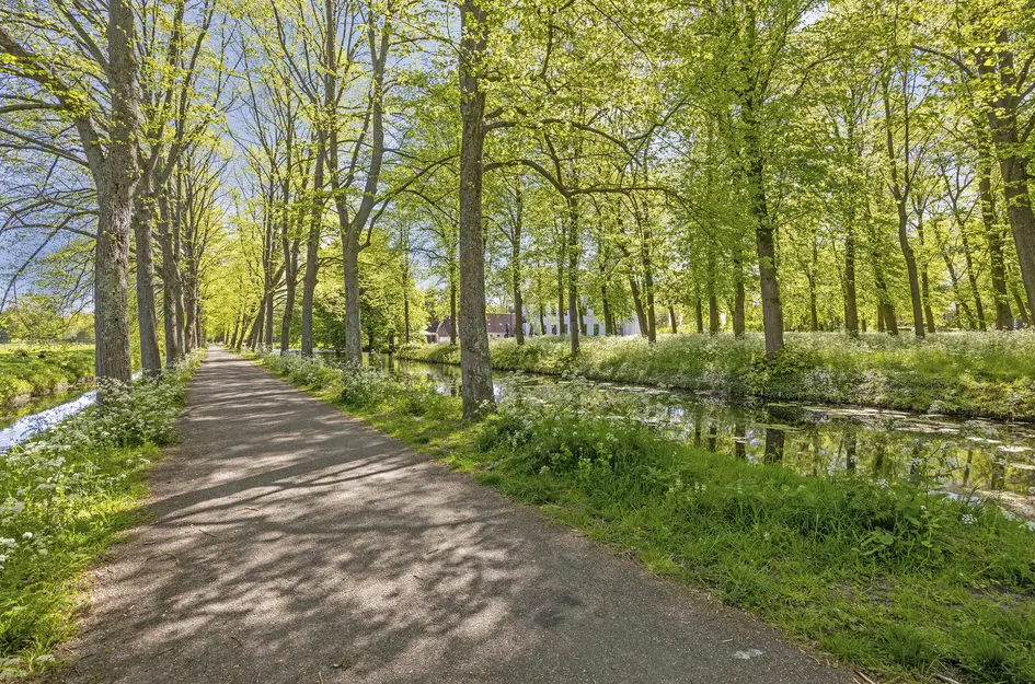 Molendijk 37