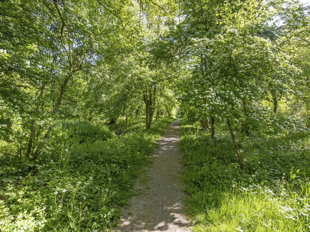 Molendijk 37, RHOON