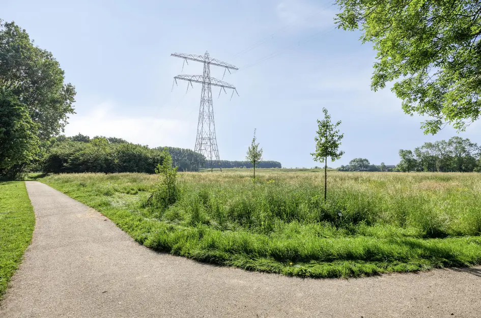 Karperveen 240