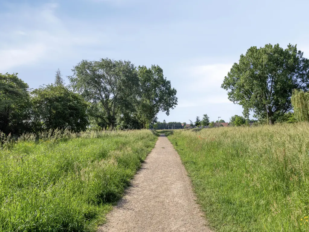 Karperveen 240, SPIJKENISSE