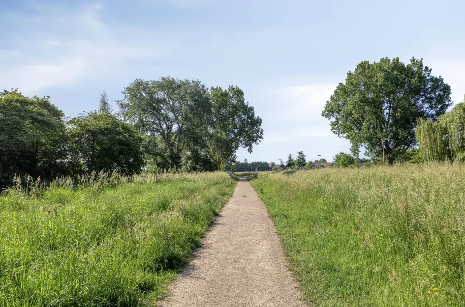 Karperveen 240
