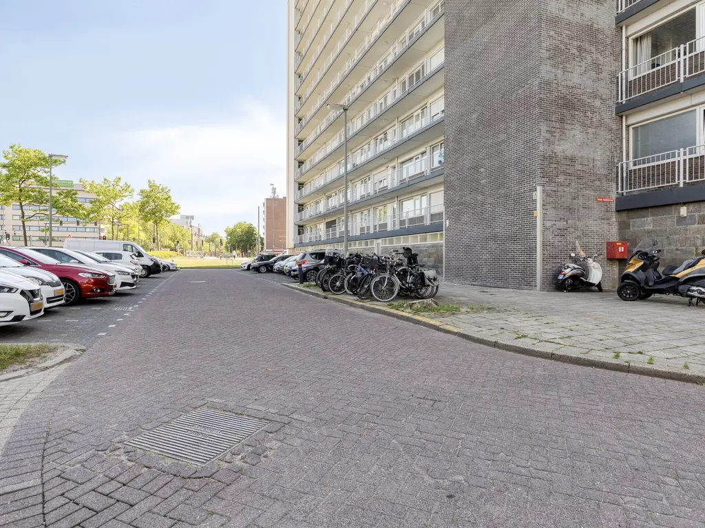 Louis Raemaekersstraat 23, SCHIEDAM
